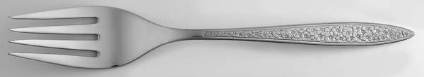 Bright Meadow (Stainless) Individual Salad Fork