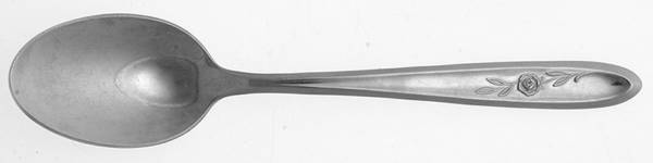 Delrose (Stainless) Teaspoon