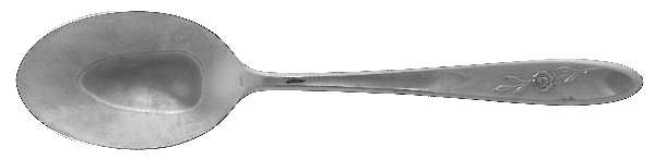 Delrose (Stainless) Tablespoon (Serving Spoon)
