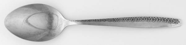 Early Spring (Stainless) Tablespoon (Serving Spoon)