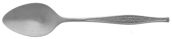 Encanto (Stainless) Teaspoon