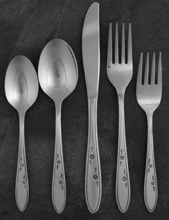 Flower Dance (Stainless) 5 Piece Place Setting