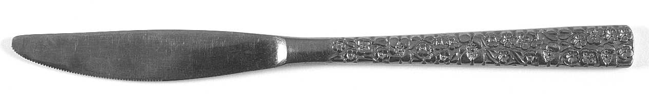IMI13 (Stainless) Modern Solid Knife