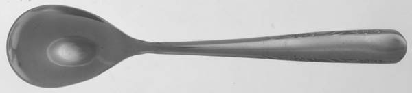 IMI32 (Stainless) Sugar Spoon