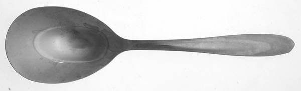 IMI39 (STAINLESS) Solid Smooth Casserole Spoon