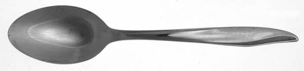 IMI50 (Stainless) Place/Oval Soup Spoon