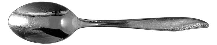 IMI50 (Stainless) Teaspoon