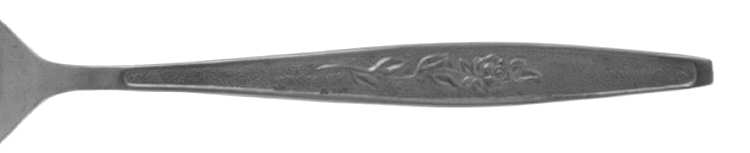 Misty Morn (Stainless) Teaspoon