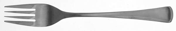 Mystique (Stainless) Fork