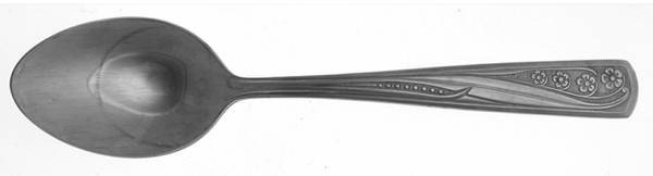 Pageant (Stainless) Teaspoon