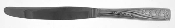 Pageant (Stainless) Modern Hollow Knife