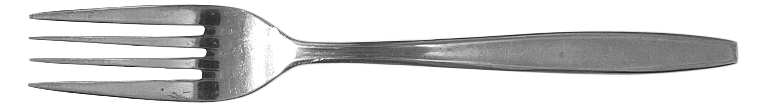 Quiana (Stainless) Fork