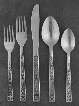 Serta (Stainless) 5 Piece Place Setting