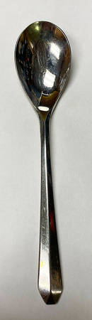 Status (Stainless) Sugar Spoon
