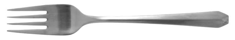 Status (Stainless) Fork