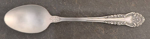 INR12 (Stainless) Place/Oval Soup Spoon