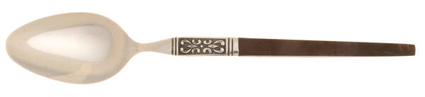 INR19 (Stainless, Brown Handle) Teaspoon by Interpur