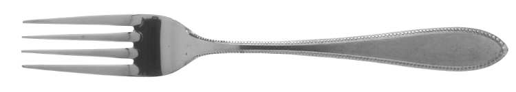 INR5 (STAINLESS) Fork by Interpur