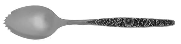 Jardinera (Stainless) Fruit/Orange Spoon Individual, Serrated Bowl HC