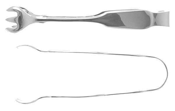 1810 (Sterling, 1930) Small Sugar Tongs