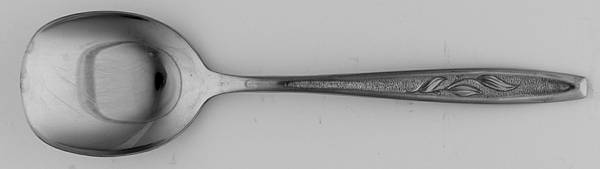 Allure (Stainless, Insico) Sugar Spoon