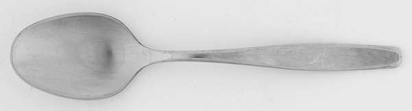 American Charm (Stainless) Teaspoon