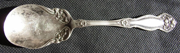 Arbutus (Silverplate, Bannerbuggy, 1908) Sugar Spoon