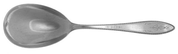 Argosy (Silverplate, 1926) Solid Smooth Berry/Casserole Spoon