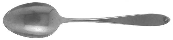 Ashford (Stainless) Tablespoon (Serving Spoon) by International Silver