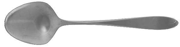 Ashford (Stainless) Sugar Spoon by International Silver