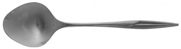 Astra (Stainless) Sugar Spoon by International Silver