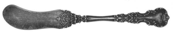 Avalon (Sterling, 1900) Large Flat Handle Butter Spreader