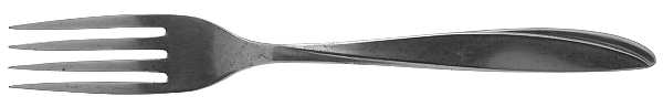 Beacon Hill (Stainless) Fork