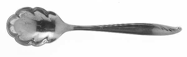 Bermuda (Stainless) Sugar Shell Spoon