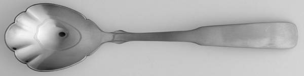 Boston Common (Stainless) Sugar Shell Spoon