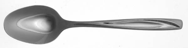 Casual (Stainless) Teaspoon by International Silver