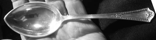 Chesterfield (Sterling, 1914) Preserve Spoon