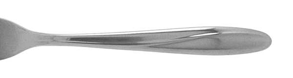 Christiania (Stainless) by International Silver