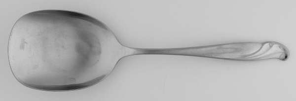 Coral Reef (Stainless) Solid Smooth Casserole Spoon