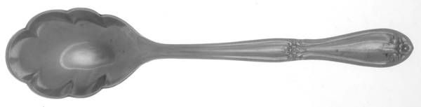 Copley Square (Stainless) Sugar Shell Spoon