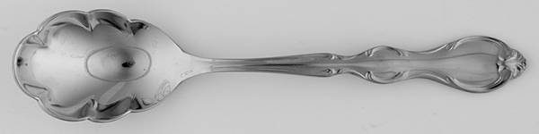 Sugar Shell Spoon