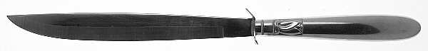 Creation I (Stainless) Small Steak Carving Knife with Stainless Blade