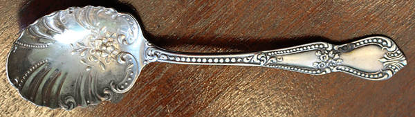 Dunraven (Silverplate) Sugar Shell Spoon