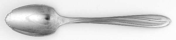 Dynamic (Stainless) Fruit/Orange Spoon