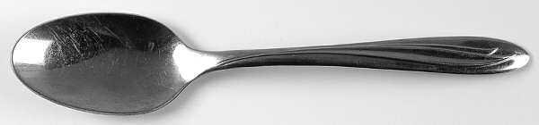 Dynamic (Stainless) Teaspoon