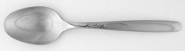 Garden Manor (Stainless) Teaspoon