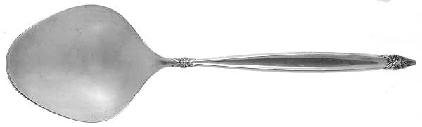 Solid Smooth Casserole Spoon