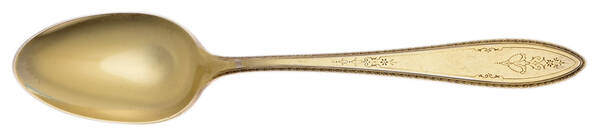 Golden Argosy (Gold Electroplate) Teaspoon