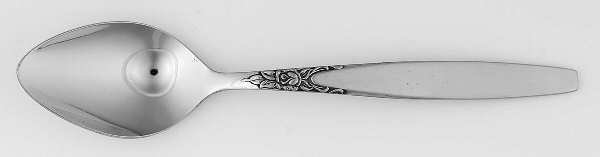 INS111 (STAINLESS) Teaspoon