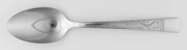 INS112 (STAINLESS) Tablespoon (Serving Spoon)